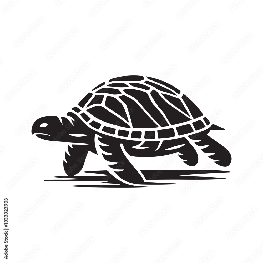 Fototapeta premium Shadow Silhouette of a Turtle - Clean White Background. 
