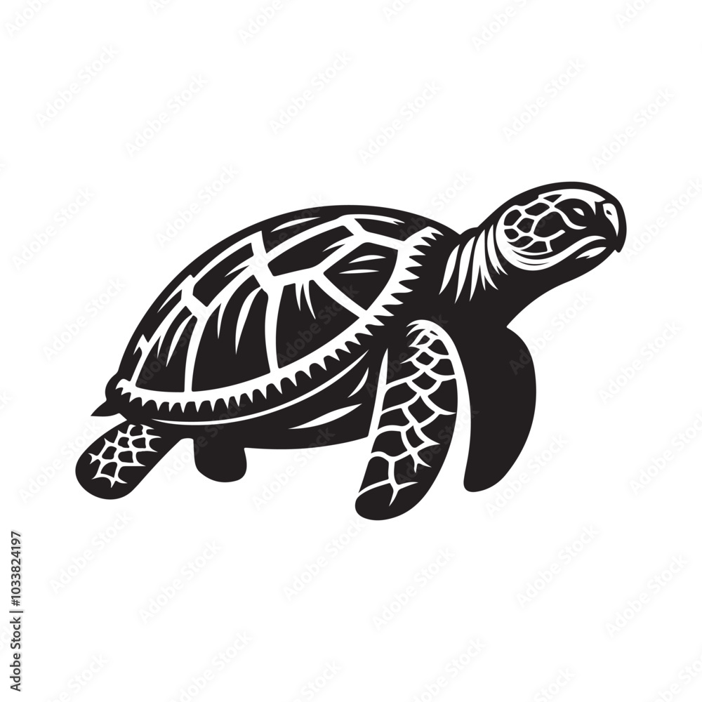 Fototapeta premium Silhouette of a Turtle - Shadow Illustration on White.