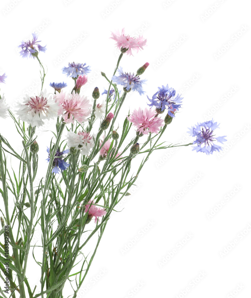 Naklejka premium Bouquet of beautiful wildflowers isolated on white
