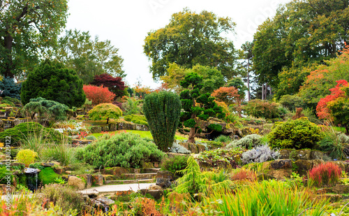 Fototapeta Naklejka Na Ścianę i Meble -  Beautiful landscaped Rockery Alpine Garden in full Autumn colour
