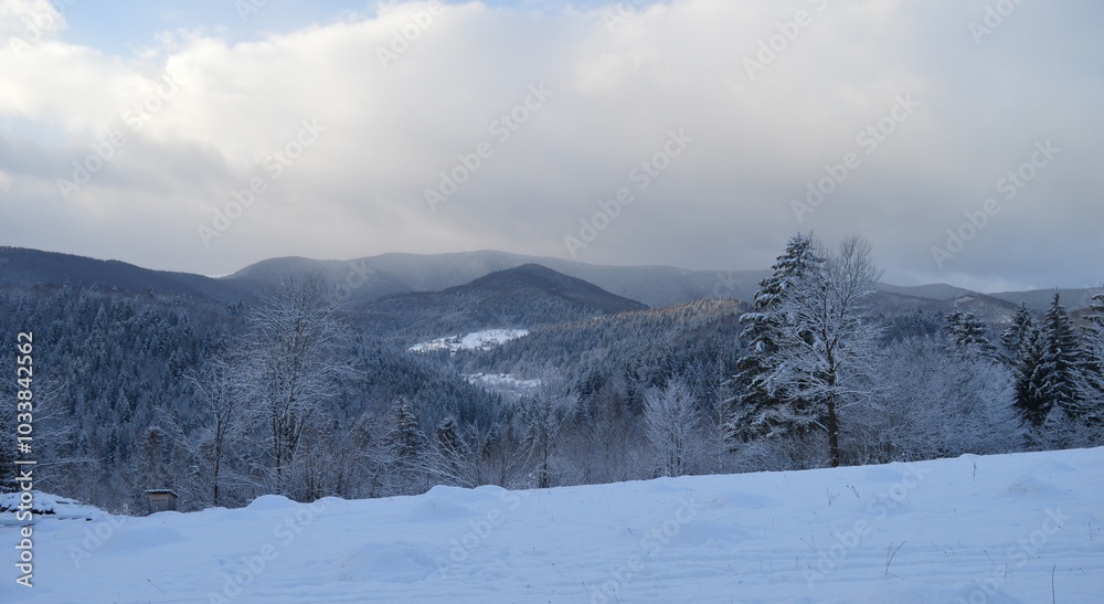 Winter panorama of the Carpathian snow-capped mountains - Bukovel Winter panorama of the Carpathian snow-capped mountains - Bukovel