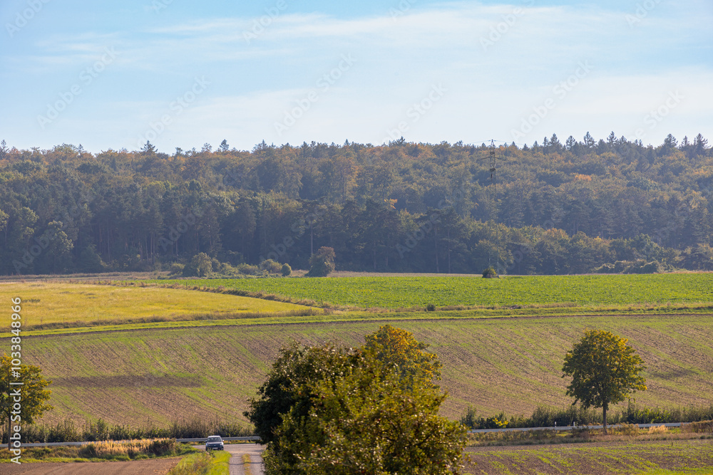 Fototapeta premium Panoramic view over a field with a row of trees and a hill in the background