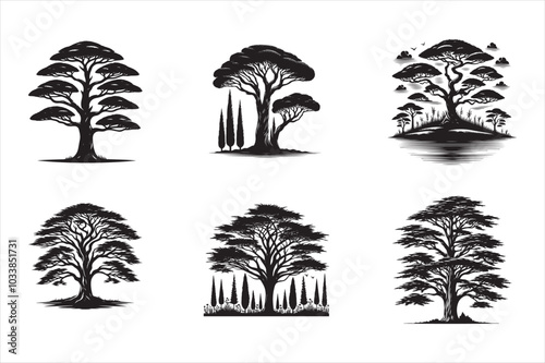 Cypress Tree Silhouette Vector illustration bundle Set collection, - nature tree logo or icon type