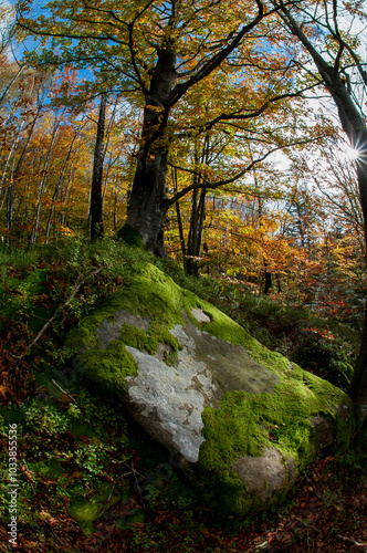 A stunning natural boulder rock rises out of the dense forest, demonstrating the power of erosion and nature's geology.