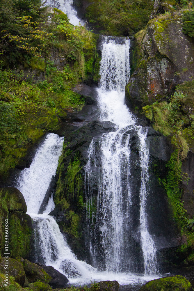 Naklejka premium Scenic view of waterfall in Triberger Wasserfälle. Im Schwarzwald 
