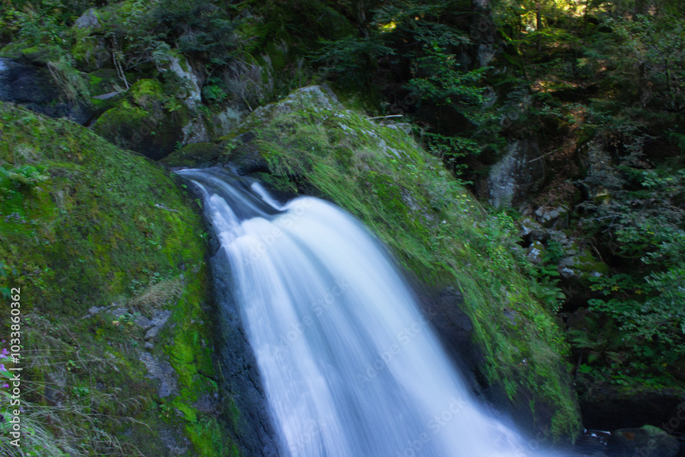 Scenic view of waterfall in Triberger Wasserfälle. Im Schwarzwald Scenic view of waterfall in Triberger Wasserfälle. Im Schwarzwald