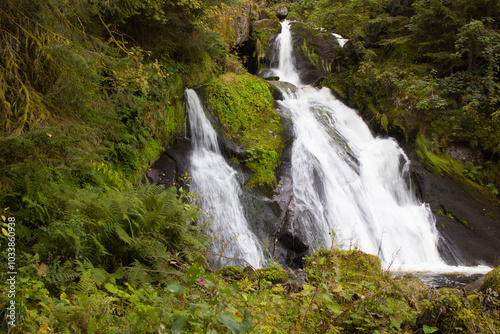 Scenic view of waterfall in Triberger Wasserfälle. Im Schwarzwald 