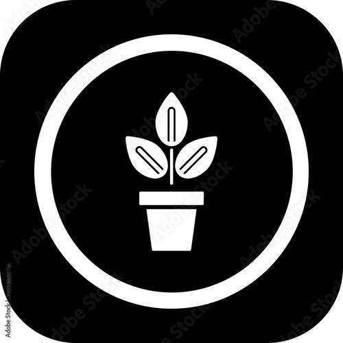 Indoor Plants Icon Design