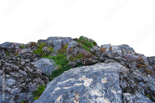 Rocky Mountain Path: A rugged, weathered expanse of grey rock forms a natural pathway leading to the peak, promising adventure and exploration.