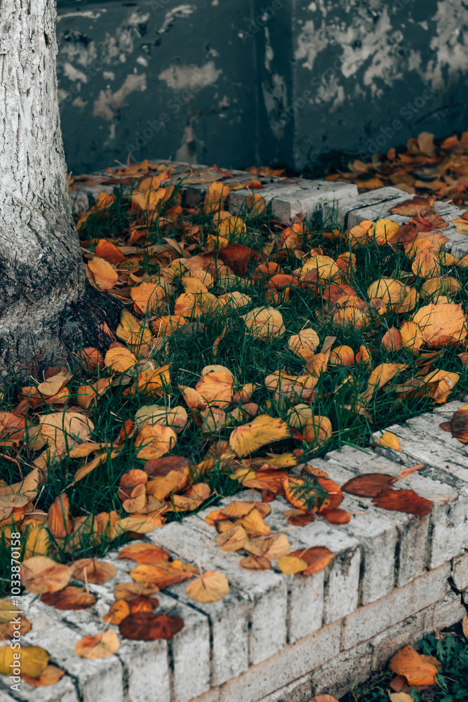Obraz premium Yellow and orange autumn leaves are scattered around a tree on green grass, neatly framed by brickwork.