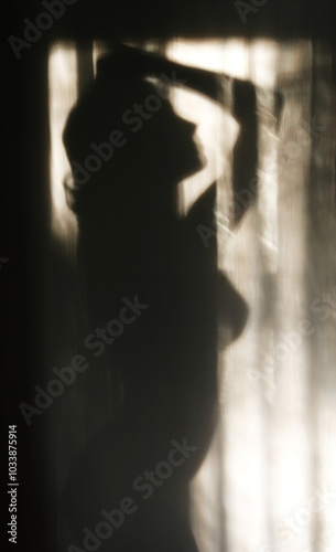 Obraz na płótnie silhouette of girl w salonie