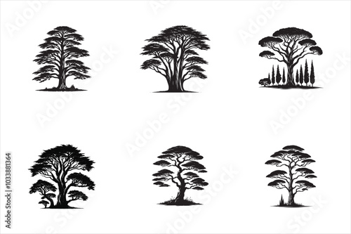 Cypress Tree Silhouette Vector illustration bundle Set collection, - nature tree logo or icon type