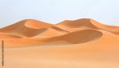 A vast expanse of red sand dunes stretches out under a clear blue sky. The dunes are sculpted into interesting shapes by the wind.