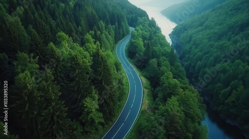 a breathtaking drone's-eye view captures a winding forest highway, framed by lush greenery and inviting adventure, highlighting the beauty of nature and transport