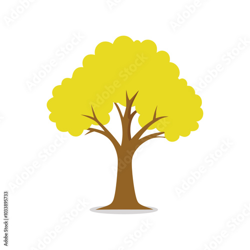  Yellow Poplar tree isolated flat vector illustration on white background