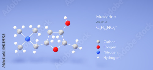 muscarine molecule, molecular structure, alkaloid, 3d model, Structural Chemical Formula and Atoms with Color Coding photo