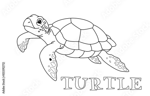 turtle.eps