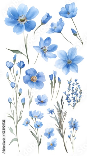 Watercolor blue flowers clip art set, vector illustration, simple and clean, white background