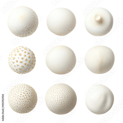 Unique Set of Round and Smooth Puffball Mushrooms in Natural Habitat