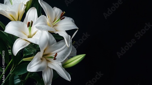 White Lilies Bouquet Against Black Background