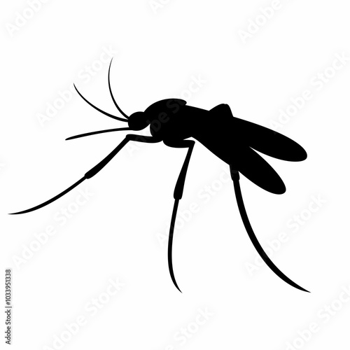 Mosquito insect animal silhouette image