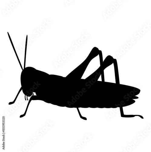 Grasshopper animal silhouette. Vector image