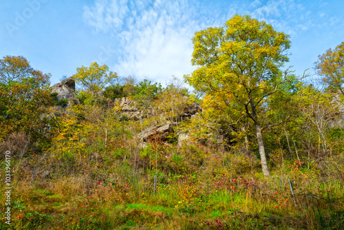 couleurs d'automne paysage auvergnat