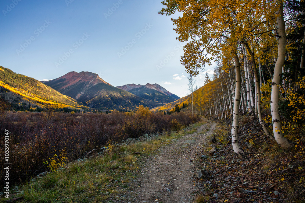 Autumn in Colorodo