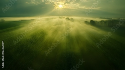 Aerial view of sunrise in the misty place. Foggy golden sunset in mountains. Flying over green trees valley. Morning mist, country fields, sun rising above the horizon. Scenic nature landscape photo