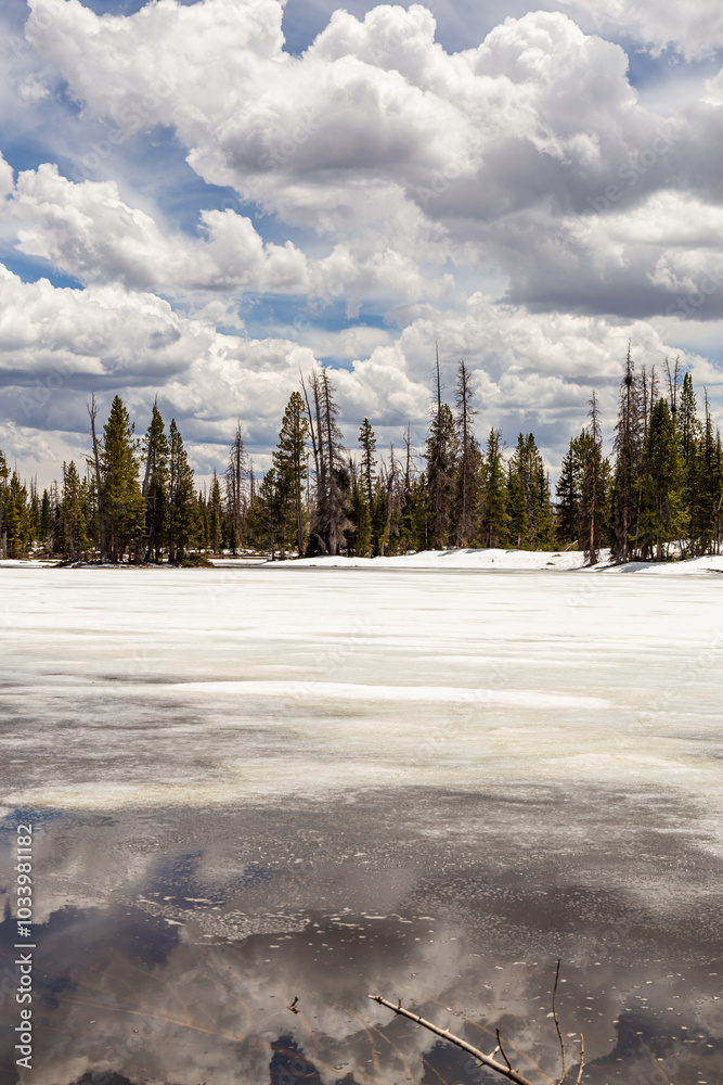 Scenic View of Snow-Covered Utah Landscape with Pine Trees Scenic View of Snow-Covered Utah Landscape with Pine Trees