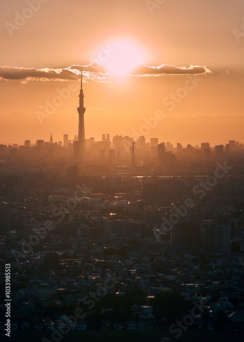 Tokyo sky tree at sunset, Japan. Tokyo Skytree is the tallest building in Japan.