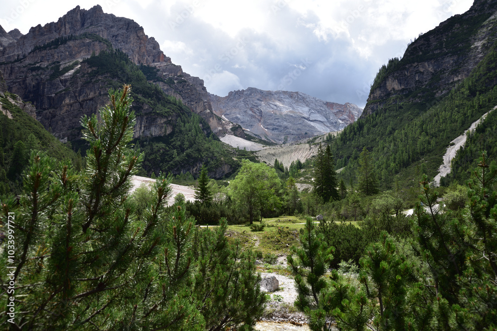 Obraz premium Nature and mountains at the bottom of the valley