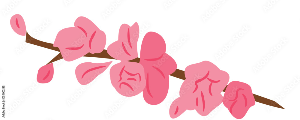 Cherry Blossom Flower Cherry Blossom Flower