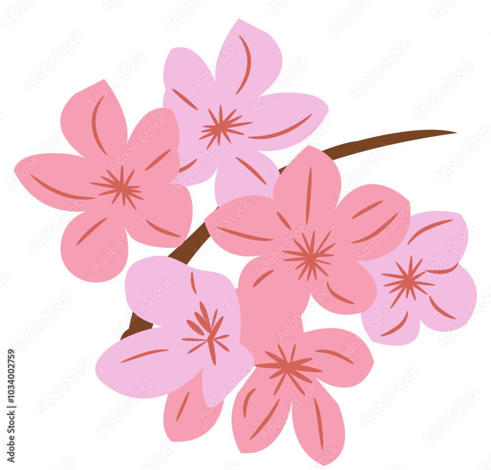 Cherry Blossom Flower Cherry Blossom Flower