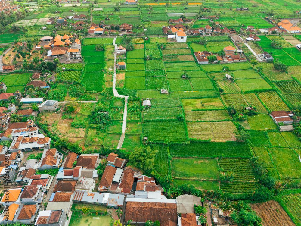 Aerial drone view of green paddy fields scenery at Gelgel Village in Klungkung, Bali, Indonesia. Aerial drone view of green paddy fields scenery at Gelgel Village in Klungkung, Bali, Indonesia.