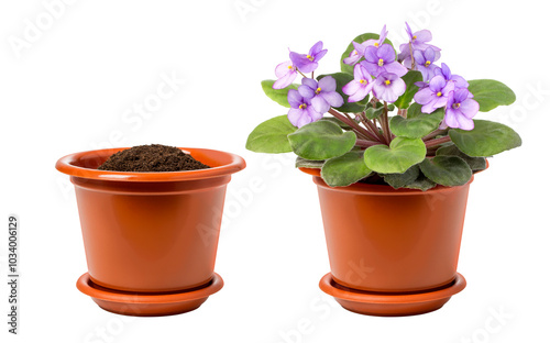 Fototapeta Naklejka Na Ścianę i Meble -  flower pot isolated
