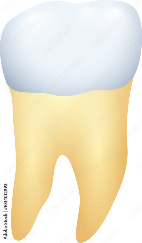 Tooth with yellow root. Whitening dentistry. Oral hygiene Tooth with yellow root. Whitening dentistry. Oral hygiene