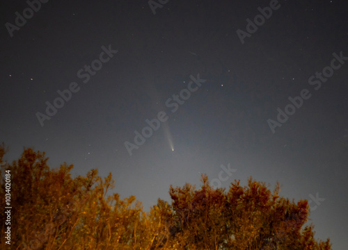 Comet Tsuchinshan-ATLAS at Dusk photo