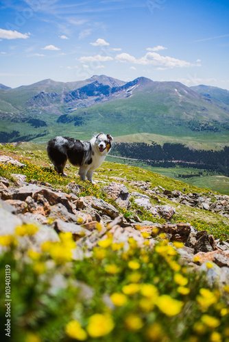 Hiking in Colorado's Front Range photo