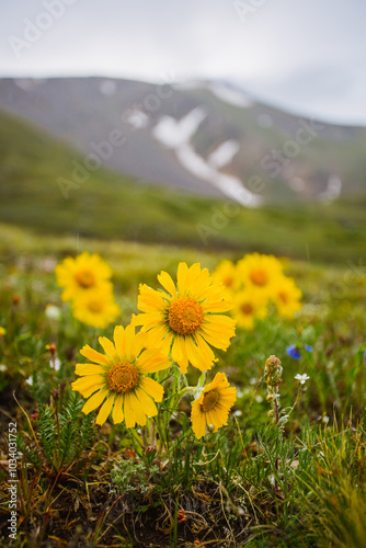 Hiking in Colorado's Front Range photo