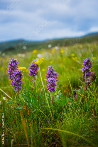 Hiking in Colorado's Front Range photo