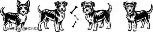 Set de animales en vector. Siluetas de perros vectorizadas. Pack de perros en color negro sin fondo. Set de perros vectorizados con huesos. 