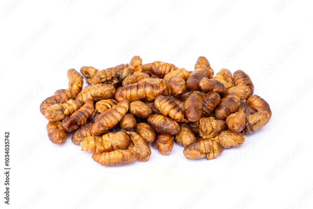 Food for pet. Dried Silkworm Pupae high protein supplements for pets suitable as a snack for sugar glider, squirrel, chipmunk, fish and reptiles etc isolated on white background.