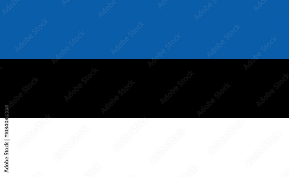 Estonian flag, vector illustration. The national flag of Estonia. Estonian flag, vector illustration. The national flag of Estonia.