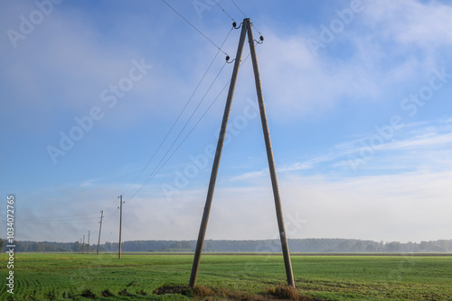 Electricity line in wheat field.