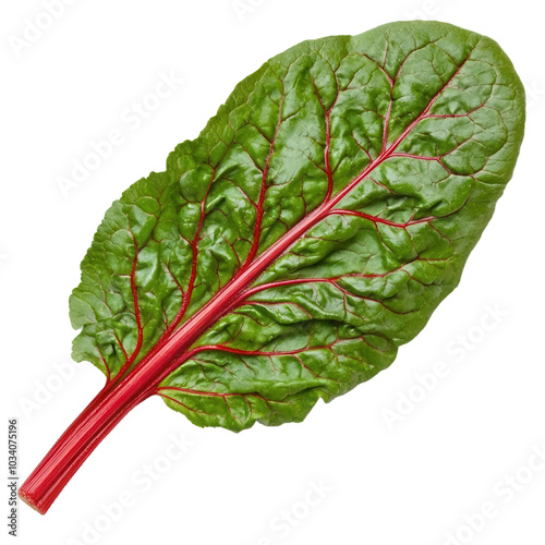 Swiss chard leaf on transparent background, single object, ,
