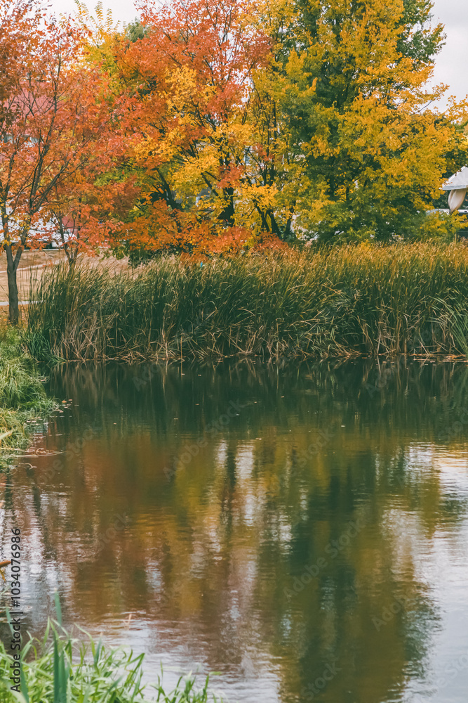 Fototapeta premium A peaceful autumn lake scene with colorful foliage reflecting on calm water, framed by trees in vibrant fall colors, creating a serene landscape. 