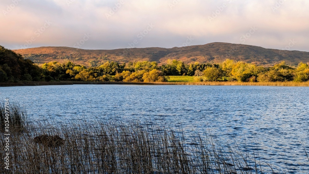 Beautiful lakeside landscape scenery, mountains reflected in Ross lake, county Galway, Ireland, nature background