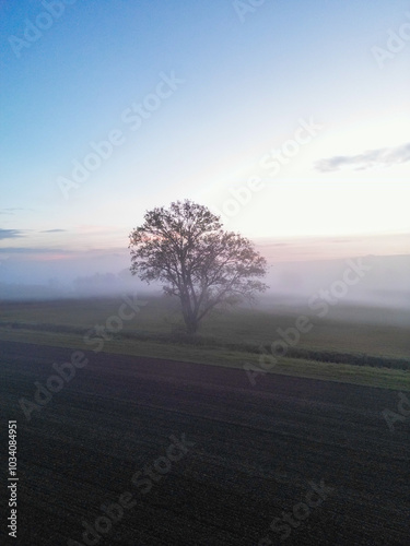 Sonnenaufgang über Schweinfurt mit Nebelschleiern, Nebel über den Feldern, mit einem Bach und Bäumen und die aufgehende Sonne am Horizont, Drohnenfoto, Luftaufnahme, Schweinfurt, Bayern, Deutschland