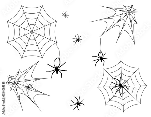 Spiders weave webs, vector drawing, black on a white background